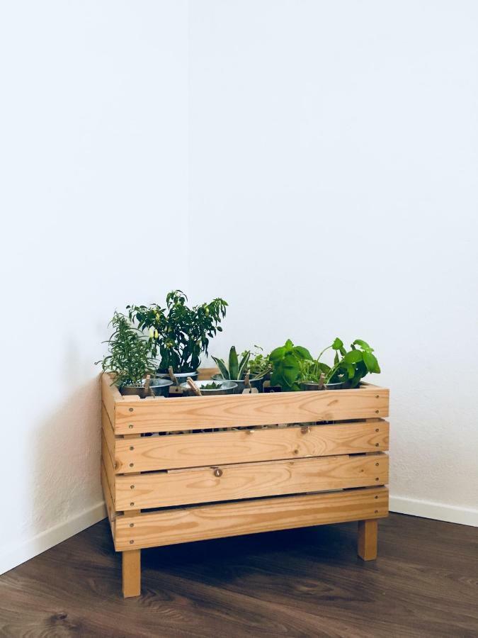 Urban Herbs Apartment リュブリャナ エクステリア 写真