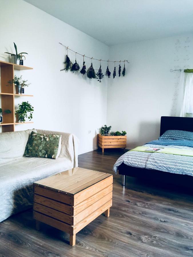 Urban Herbs Apartment リュブリャナ エクステリア 写真